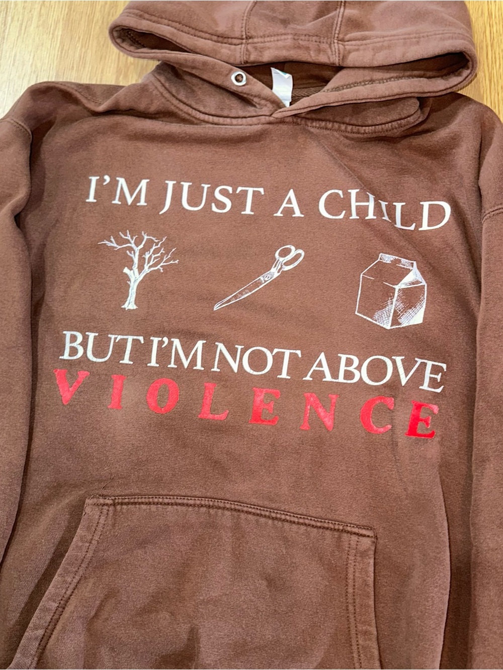 Ethel Cain Preachers Daughter Album Exclusive Hoodie - Picture 3 of 8